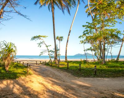 A sandy path flanked by lush palm trees leads to a serene beach and clear blue ocean under a bright sky. The scene conveys tranquility and natural beauty.