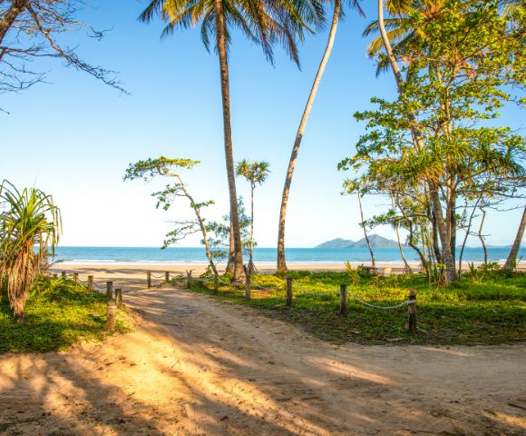 A sandy path flanked by lush palm trees leads to a serene beach and clear blue ocean under a bright sky. The scene conveys tranquility and natural beauty.