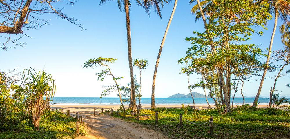 A sandy path flanked by lush palm trees leads to a serene beach and clear blue ocean under a bright sky. The scene conveys tranquility and natural beauty.