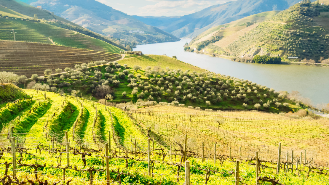 Print Stylesheet Image