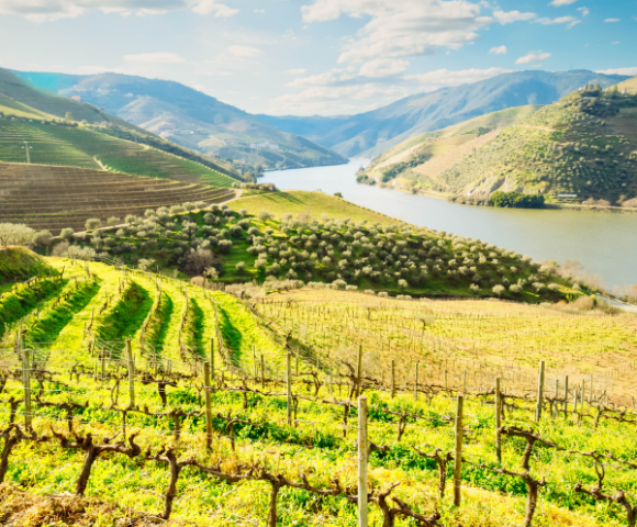 22 Day Mediterannean Majesty & Enticing Duoro | Istanbul to Porto - Hero Image