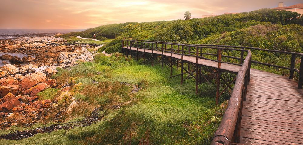 A wooden boardwalk meanders through lush green grass towards a rocky shoreline. The scene is serene, with a soft orange sunset creating a warm, calming ambiance.