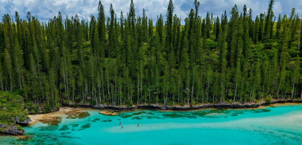 Aerial view of a serene turquoise lagoon bordered by a lush forest of tall pine trees under a partly cloudy sky. People are swimming, conveying a sense of tranquility and wonder.