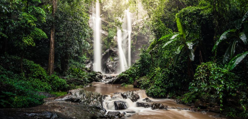 A serene waterfall cascades into a rocky stream surrounded by lush, dense rainforest. Sunlight filters through the canopy, creating a tranquil, natural setting.