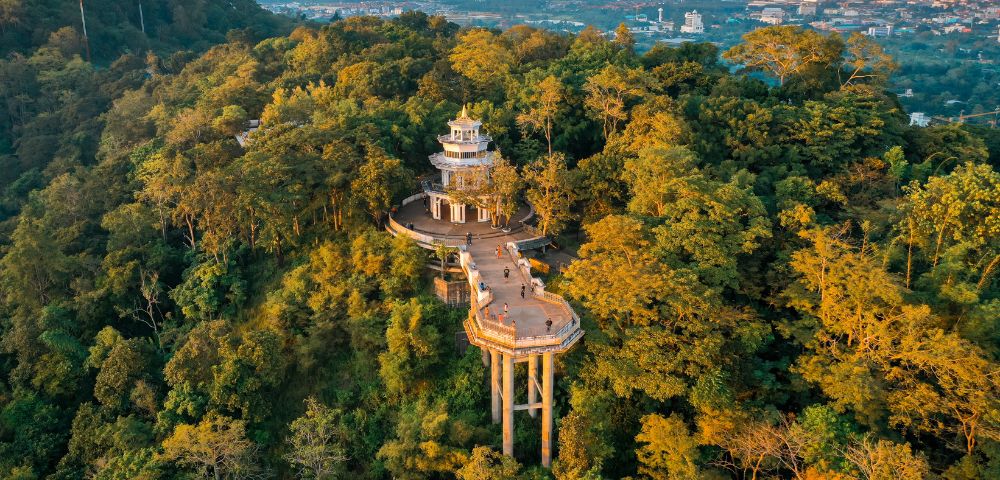 Aerial view of a lush green forest with a winding walkway leading to a multi-tiered pavilion. The scene feels serene, with a city visible in the distance.