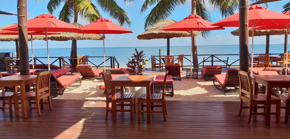 Wooden deck with a table and chairs overlooking a beach. Red loungers and umbrellas sit under palm trees, with a clear blue ocean in the background. Relaxing ambiance.