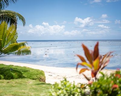 Tropical beach scene with clear blue sky and calm ocean. Foreground has vibrant green palm leaves and red-orange flowers, evoking a peaceful vibe.