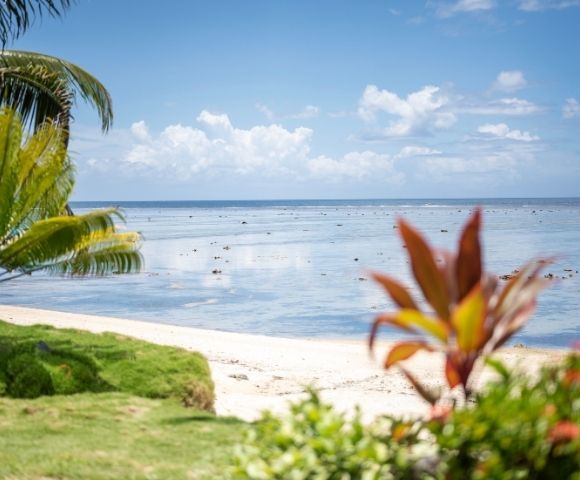 Tropical beach scene with clear blue sky and calm ocean. Foreground has vibrant green palm leaves and red-orange flowers, evoking a peaceful vibe.