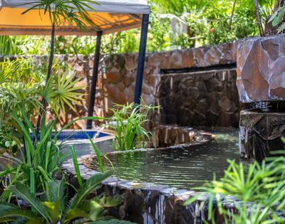 A serene garden scene with a stone wall waterfall flowing into a tranquil pond surrounded by lush green plants. A canopy provides shade, evoking peace.