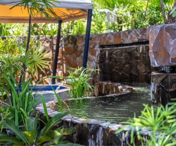A serene garden scene with a stone wall waterfall flowing into a tranquil pond surrounded by lush green plants. A canopy provides shade, evoking peace.