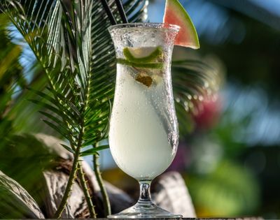 A refreshing cocktail in a tall glass with lime, ice, and a watermelon slice garnish, set against lush green palm leaves and a sunny backdrop.