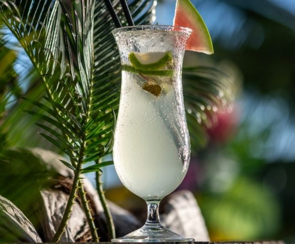 A refreshing cocktail in a tall glass with lime, ice, and a watermelon slice garnish, set against lush green palm leaves and a sunny backdrop.