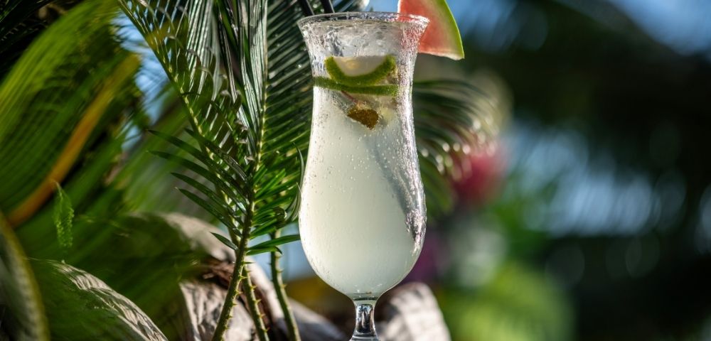 A refreshing cocktail in a tall glass with lime, ice, and a watermelon slice garnish, set against lush green palm leaves and a sunny backdrop.