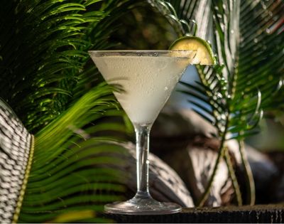 A refreshing cocktail in a frosted glass garnished with a lime slice sits against a backdrop of lush green palm leaves, evoking a tropical vibe.