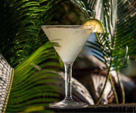 A refreshing cocktail in a frosted glass garnished with a lime slice sits against a backdrop of lush green palm leaves, evoking a tropical vibe.
