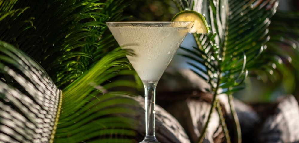 A refreshing cocktail in a frosted glass garnished with a lime slice sits against a backdrop of lush green palm leaves, evoking a tropical vibe.