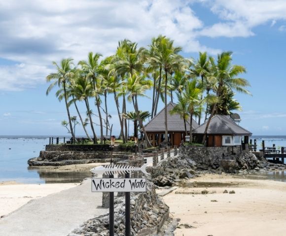Seaside tropical scene with palm trees, a thatched-roof hut, and a sandy beach. A sign reads 
