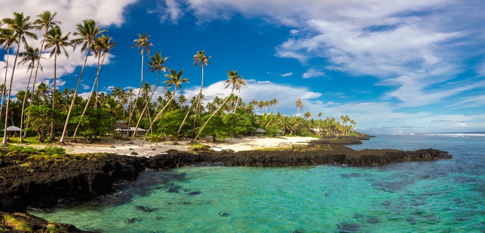 Tropical beach scene with tall palm trees, a sandy shore, and clear turquoise water. Black rocks line the coastline under a partly cloudy blue sky.