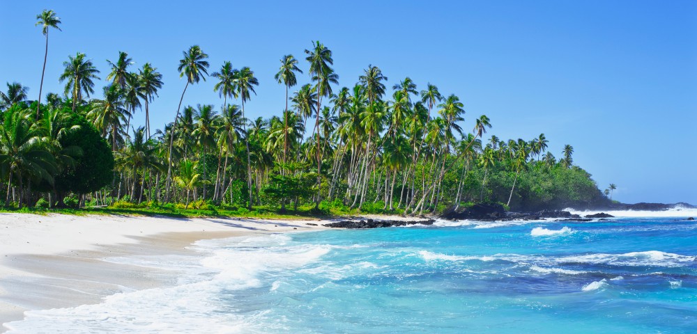 Tropical beach scene with tall palm trees lining a white sandy shore. Clear blue waves gently crash, creating a serene and peaceful atmosphere.