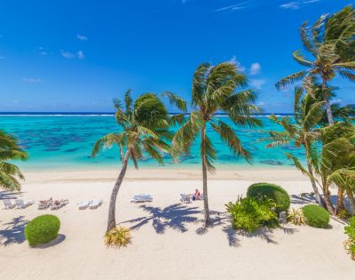 Tropical beach scene with turquoise water, white sand, and swaying palm trees. Clear blue sky and vibrant lush greenery create a serene, relaxing atmosphere.