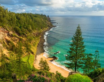 Cliffside view of a lush green forest bordered by a rocky coastline. Turquoise waves crash on a sandy beach under a clear blue sky, conveying serenity.