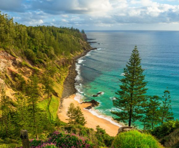 Cliffside view of a lush green forest bordered by a rocky coastline. Turquoise waves crash on a sandy beach under a clear blue sky, conveying serenity.