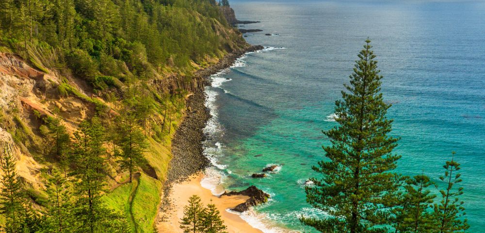 Cliffside view of a lush green forest bordered by a rocky coastline. Turquoise waves crash on a sandy beach under a clear blue sky, conveying serenity.