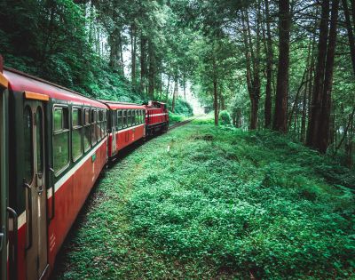 A red train winds through a lush, green forest under a canopy of tall trees, conveying a peaceful and serene atmosphere.