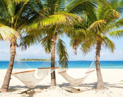 Tropical beach scene with two hammocks hanging between palm trees on white sand, overlooking a clear blue ocean under a bright, sunny sky.