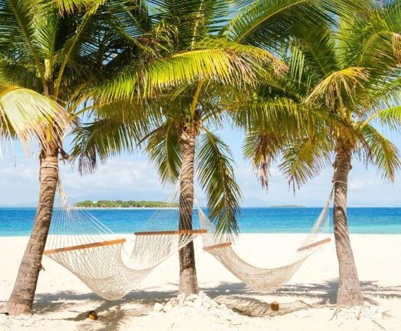 Tropical beach scene with two hammocks hanging between palm trees on white sand, overlooking a clear blue ocean under a bright, sunny sky.