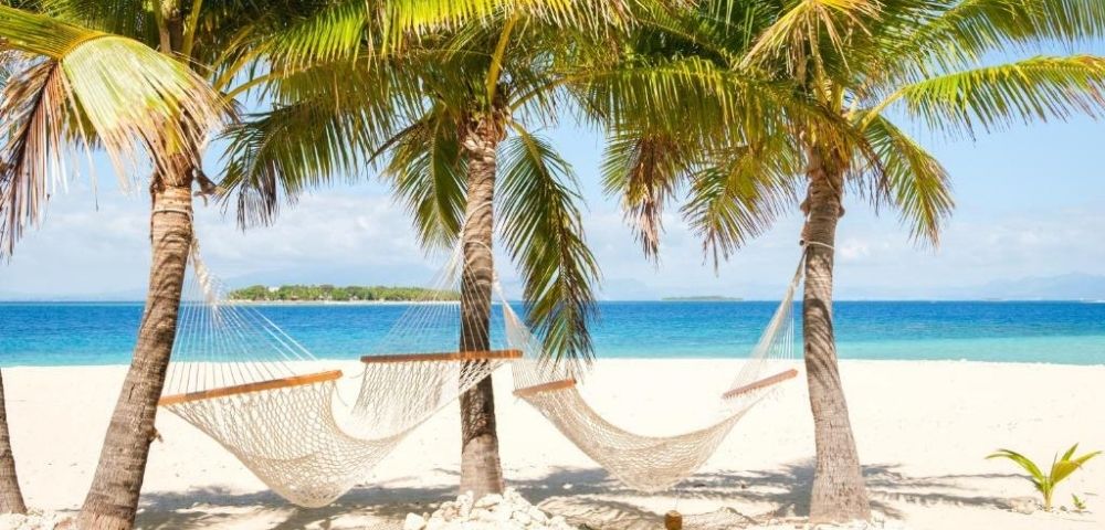 Tropical beach scene with two hammocks hanging between palm trees on white sand, overlooking a clear blue ocean under a bright, sunny sky.