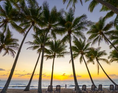 Sunset beach scene with tall palm trees silhouetted against a vibrant sky. Empty lounge chairs face the calm ocean, creating a tranquil, tropical atmosphere.