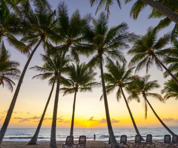 Sunset beach scene with tall palm trees silhouetted against a vibrant sky. Empty lounge chairs face the calm ocean, creating a tranquil, tropical atmosphere.