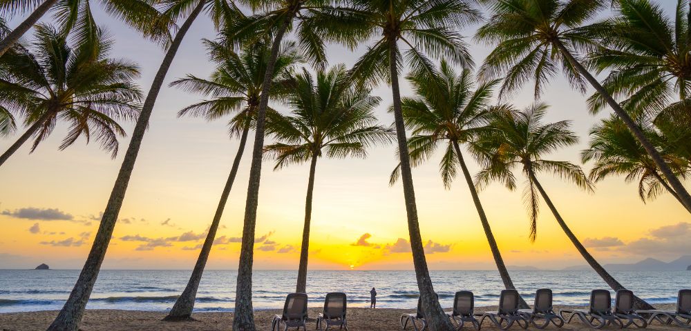 Sunset beach scene with tall palm trees silhouetted against a vibrant sky. Empty lounge chairs face the calm ocean, creating a tranquil, tropical atmosphere.