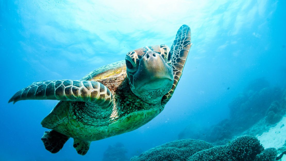 Print Stylesheet Image