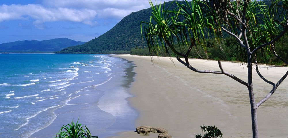 Tropical beach scene with turquoise ocean waves lapping a sandy shore. Green hills and palm trees line the coast under a clear blue sky. Tranquil vibe.