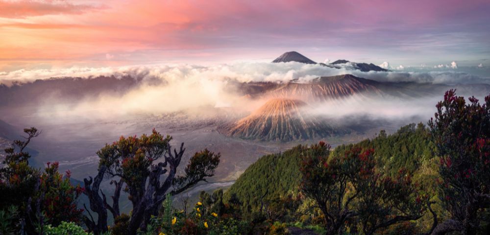 A breathtaking view of Mount Bromo at sunrise, surrounded by mist and vibrant pink and orange skies. Foreground trees frame the volcanic landscape.