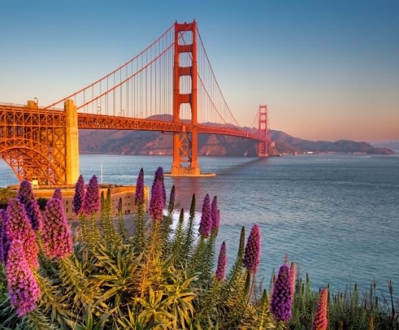 West Coast to Waikiki Explorations Image 2