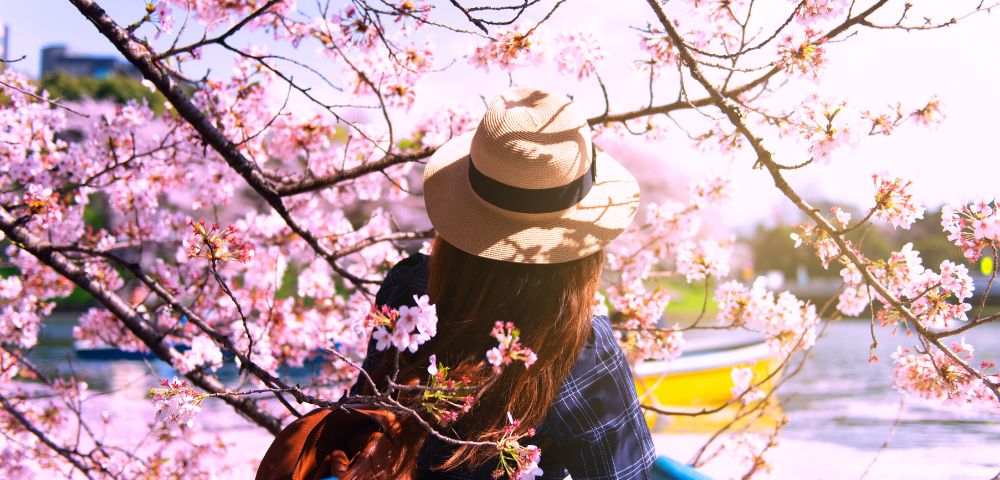 Person wearing a hat and backpack stands among blooming cherry blossoms, looking toward a body of water with blurred boats in the background.