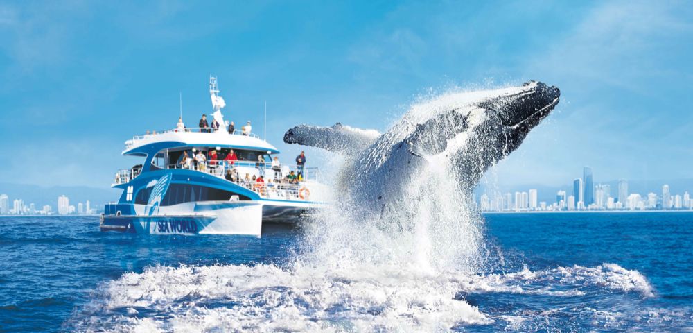 A whale breaches energetically from the ocean near a white and blue tour boat. Passengers watch excitedly against a backdrop of a distant city skyline.