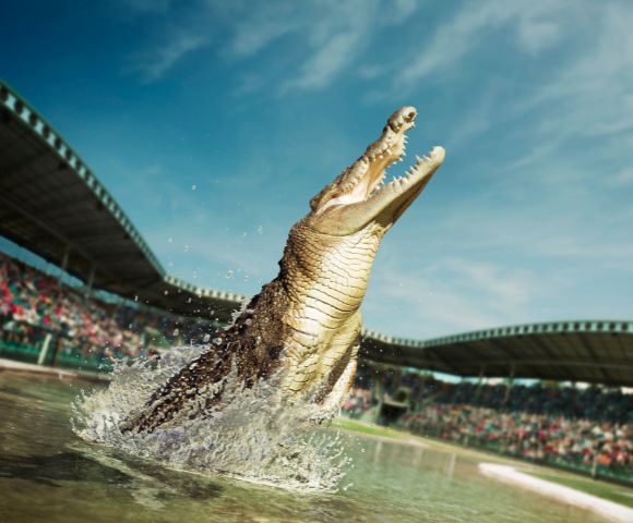 A large crocodile leaps dramatically out of the water in an arena, mouth open wide. Spectators in the background add excitement to the scene.