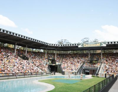 A large crowd seated in an open-air arena, the Crocoseum. The central area features a water pool and grass. The atmosphere is lively and engaging.