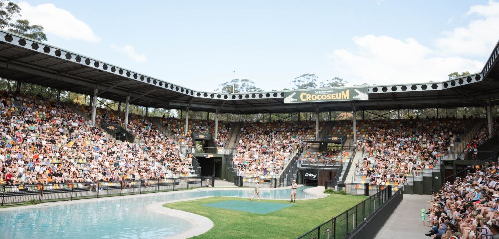 A large crowd seated in an open-air arena, the Crocoseum. The central area features a water pool and grass. The atmosphere is lively and engaging.