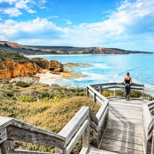 A woman stands on a wooden boardwalk overlooking a stunning coastal view. The scene features cliffs, lush green shrubs, and shimmering blue ocean under a clear sky.