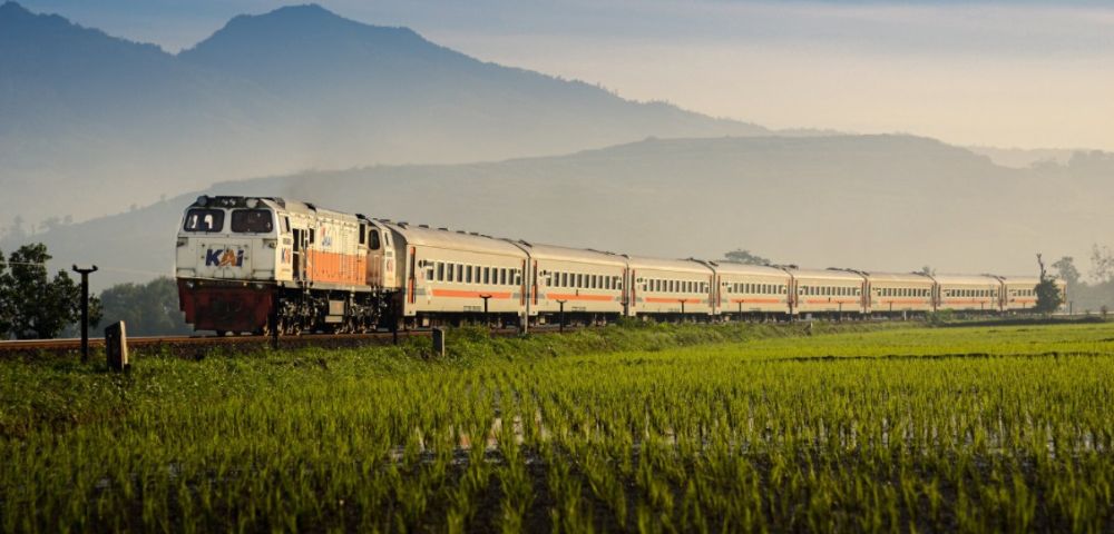 A train travels through lush green rice fields with misty mountains in the background, evoking a sense of calm and scenic rural beauty.