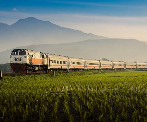 A train travels through lush green rice fields with misty mountains in the background, evoking a sense of calm and scenic rural beauty.