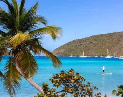 A serene tropical scene with a palm tree in the foreground and a person paddleboarding on turquoise water. Sailboats are moored near a lush, green hillside.
