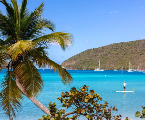 A serene tropical scene with a palm tree in the foreground and a person paddleboarding on turquoise water. Sailboats are moored near a lush, green hillside.