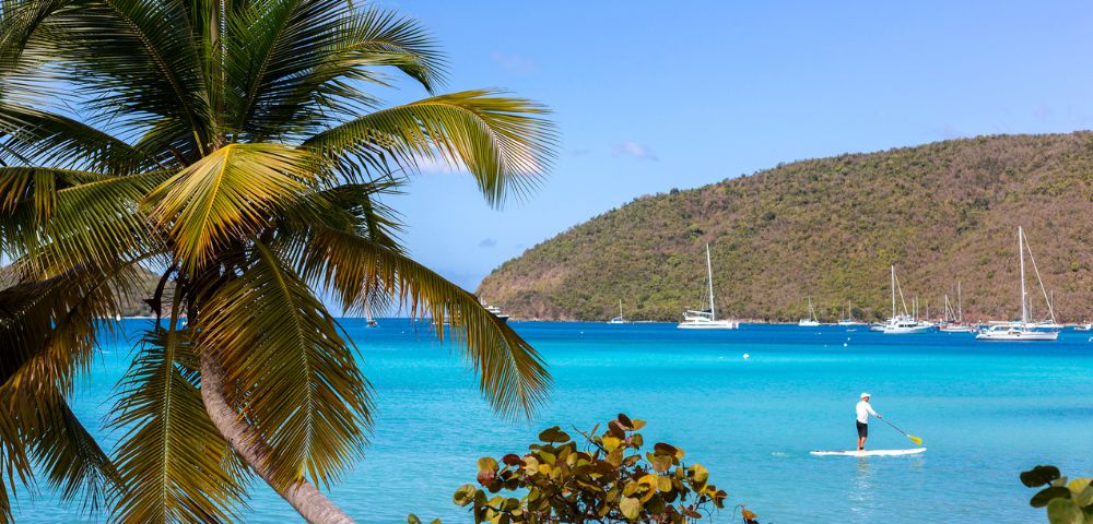 A serene tropical scene with a palm tree in the foreground and a person paddleboarding on turquoise water. Sailboats are moored near a lush, green hillside.