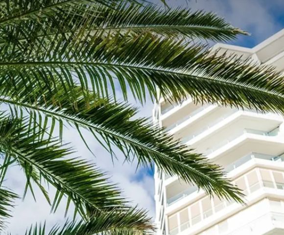 A palm tree's green fronds stretch against a bright sky, partially obscuring a modern white building's geometric balconies in a sunny scene.